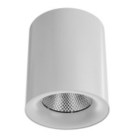 Точечный накладной светильник ARTE LAMP FACILE A5130PL-1WH