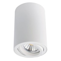 Точечный накладной светильник ARTE LAMP SENTRY A1560PL-1WH